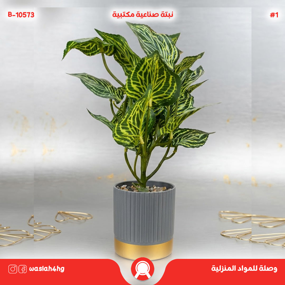 نتبة صناعية بأصيص حزام ذهبي