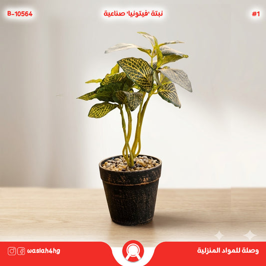 نبتة فيتونيا صناعية